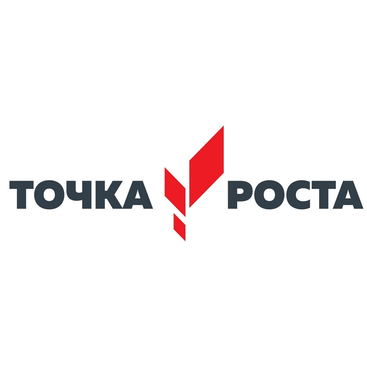 Точка роста